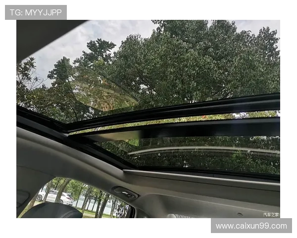 篮球的魅力：从技术提升到团队协作的全面解析与思考